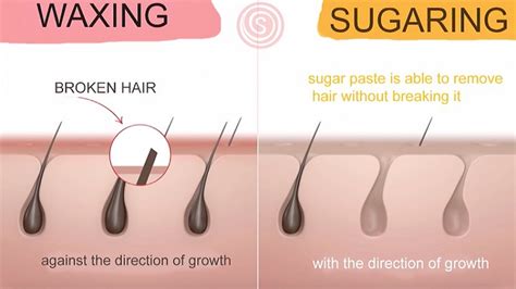  79 Popular How Long Should Hair Be For Sugaring Hairstyles Inspiration