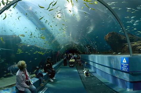 how long to visit georgia aquarium