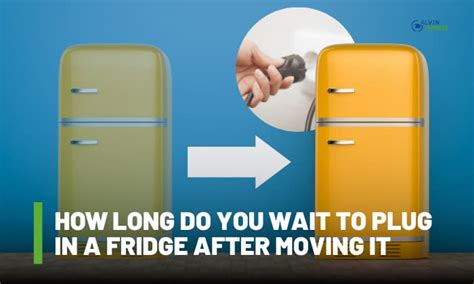 How Long To Wait Before You Plug In A Fridge