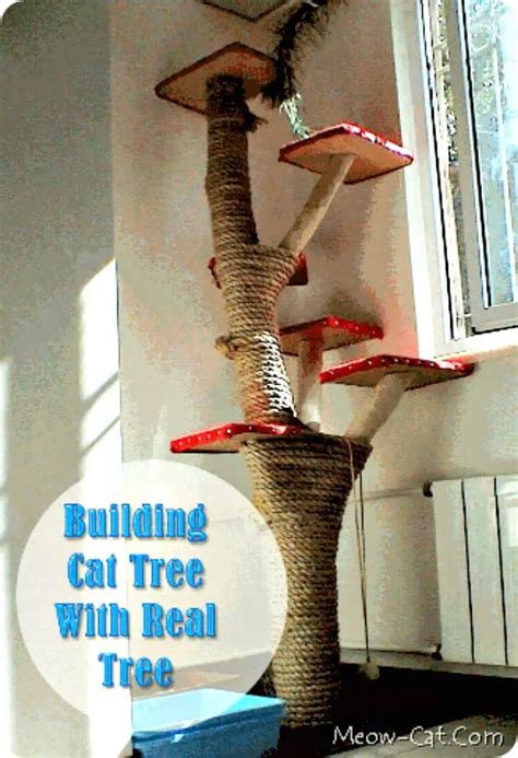 How Make A Cat Tree