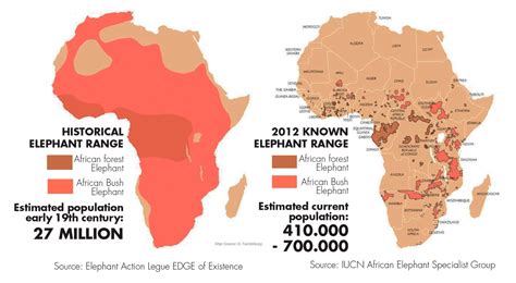 how many african elephants are in the world