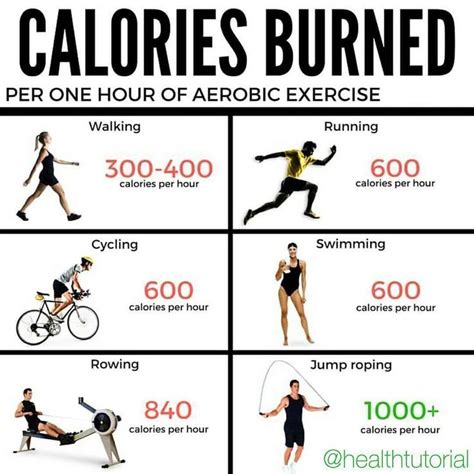 How Many Calories Should I Aim To Burn In A Cardio Workout 