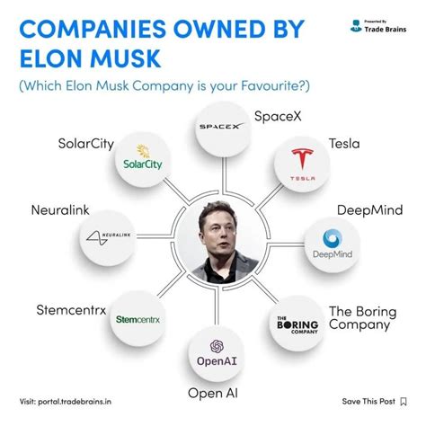 how many companies does elon musk own