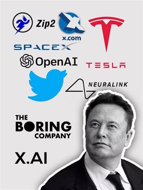 how many company does elon musk owns