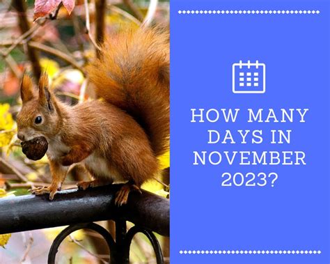 how many days till november 4 2023