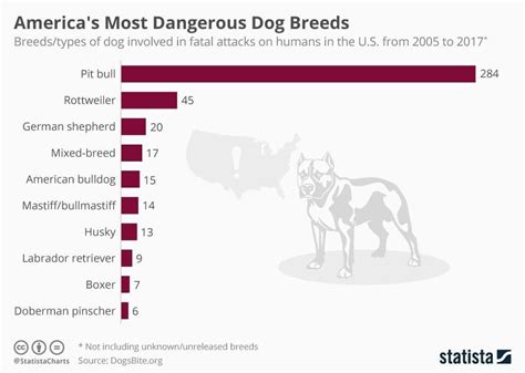 how many deaths are there from pitbulls