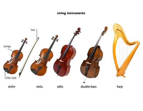 how many different types of instruments are there in the orchestra's string section