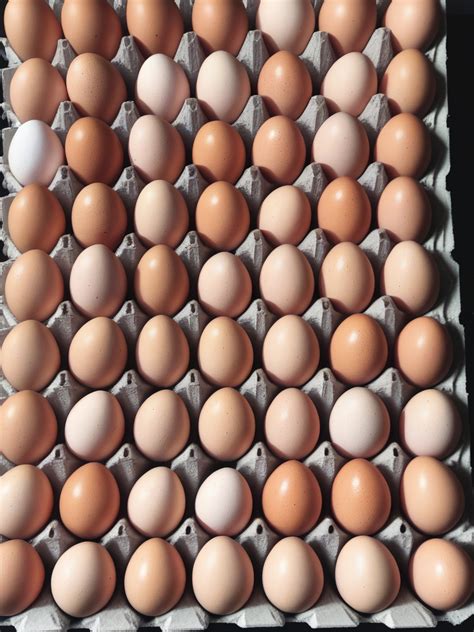 How Many Eggs Make A Flat