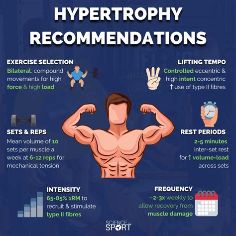 How Many Exercises For Hypertrophy