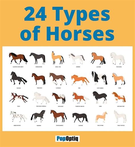 how many horse blood types