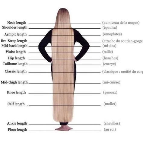 The How Many Inches Is Classic Length Hair With Simple Style