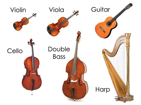 how many instruments are in the string family