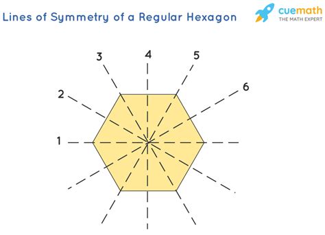How many lines of symmetry does a regular hexagon have?[solved]