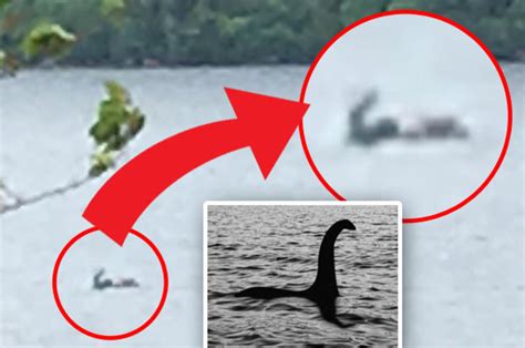 how many loch ness monster sightings