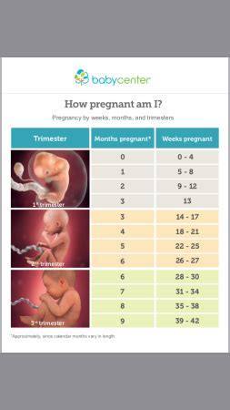 how many months is 34 weeks