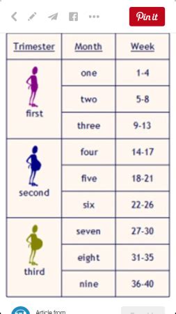 how many months is 35 weeks