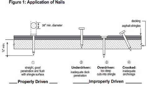 How Many Nails Needed For Shingles