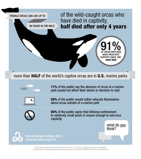 how many orcas are in captivity 2023