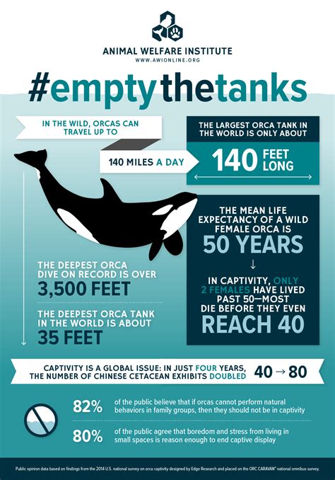 how many orcas are left 2023