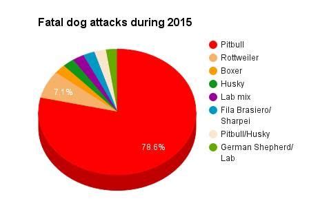 how many pitbull deaths a year