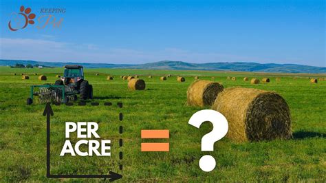 how many round hay bales per acre