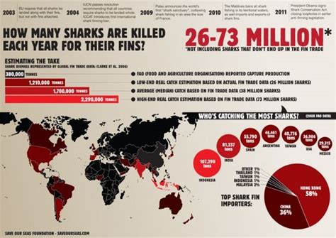 how many sharks were killed in 2023