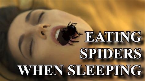 how many spiders do we eat when sleeping