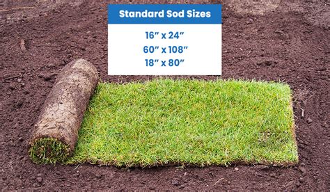 How Many Square Feet Is A Pallet Of Sod? Obsessed Lawn