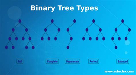 how many types of binary tree