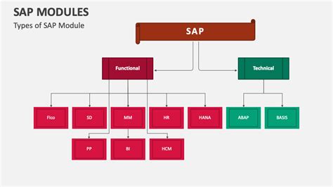 How Many Types Of Sap Modules