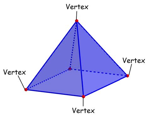 Faces, Vertices and Edges in a Rectangular Pyramid Neurochispas