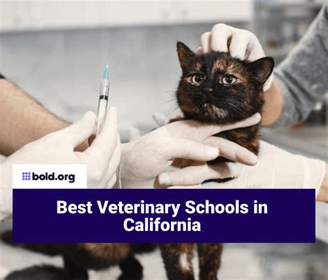 how many vet schools in california