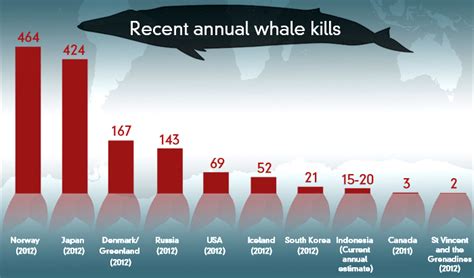 how many whales are killed each year