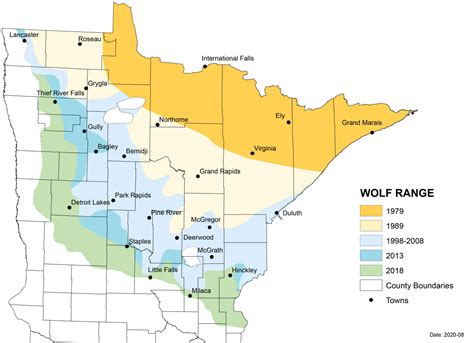how many wolves in minnesota