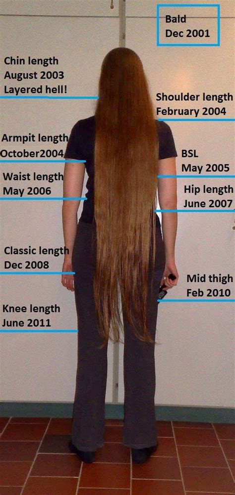  79 Popular How Many Years To Grow Waist Length Hair For Short Hair