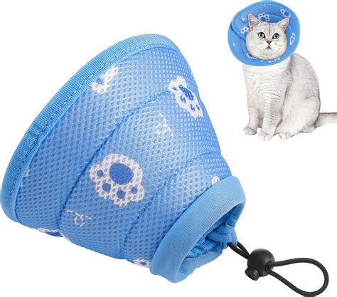 How Much Are Cat Cones