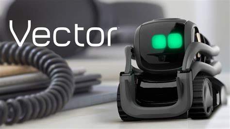 How Much Are Vector Robot