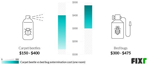 How Much Bed Bugs Extermination Cost