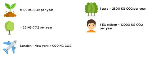 How Much Carbon Does A Tree Absorb Annually
