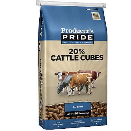 how much cattle cubes per cow