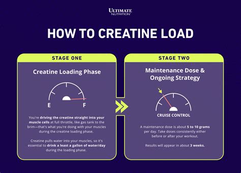 how much creatine to have in loading phase