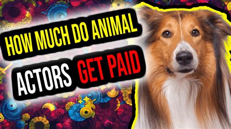 how much do animal actors get paid