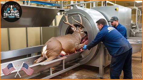 How Much Do Deer Processors Make