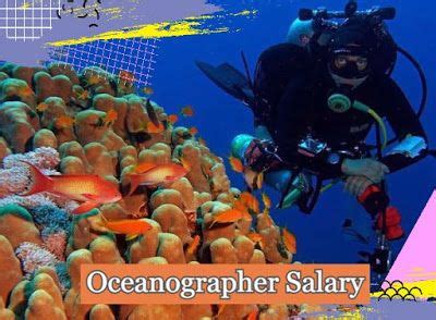 How Much Do Oceanographers Make