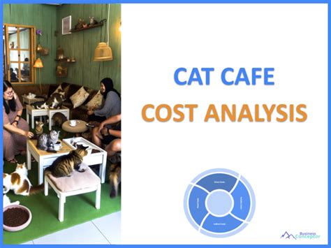 How Much Does A Cat Cafe Cost