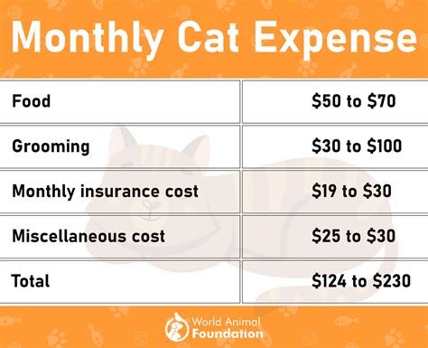 how much does a cat cost
