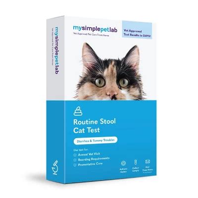 How Much Does A Cat Stool Test Cost