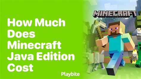 how much does a minecraft java server cost