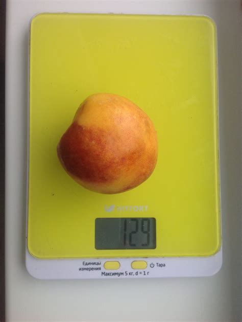 How Much Does A Nectarine Weigh