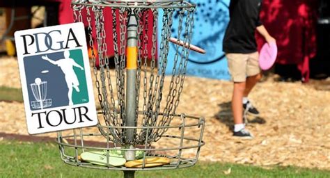 how much does a pdga membership cost
